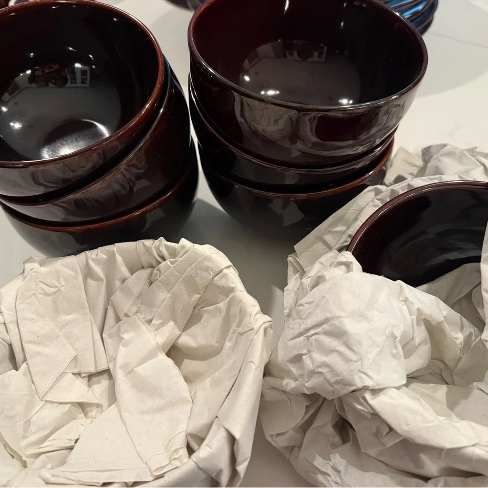 Crate&Barrel Rich Brown Dinner Plate Set